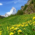 Appartement Alba By Interhome Zermatt